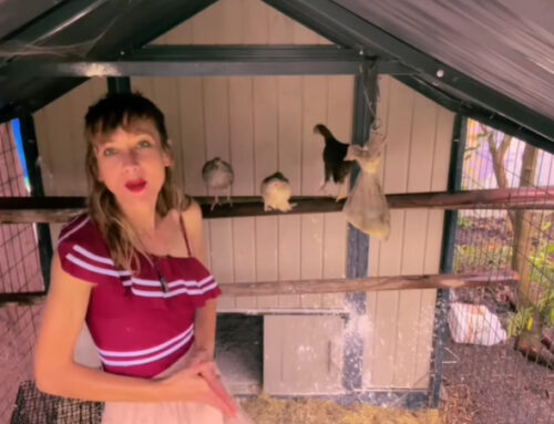 Patriarchy Official Music Video Annie Hardy